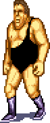 André the Giant - WWF Superstars - 01