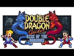 Ichisumi, Double Dragon Wiki