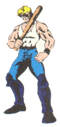 Williams artwork used in most Double Dragon manuals.