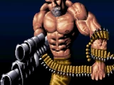 Roper (Battletoads/Double Dragon)