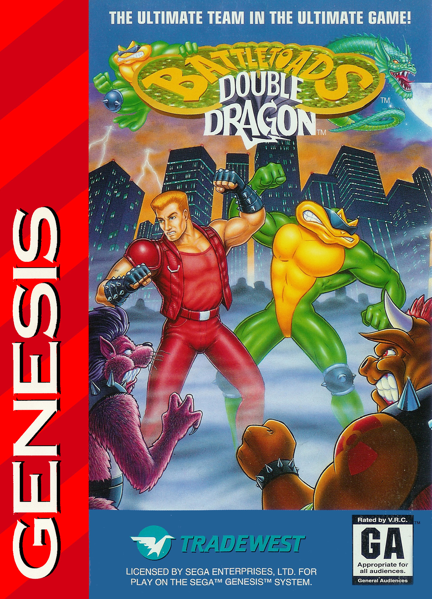 海外版 NES Battletoads Double Dragon バトルトード ダブルドラゴン