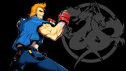 Double Dragon Neon