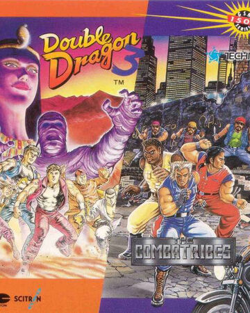 Double Dragon 3 The Combatribes Double Dragon Wiki Fandom