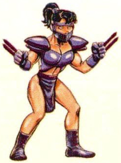 Double Dragon V: The Shadow Falls (1994)