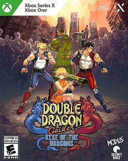Super Double Dragon - 31 years