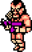 Double Dragon (NES)