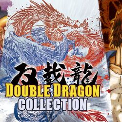 Lady Okada, Double Dragon Wiki