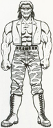 Williams artwork from the Super Double Dragon manual.
