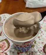 Chocolate Frosty