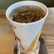 Unsweetened Iced Tea