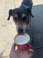 Saltstraw2pic9.jpg (478 KB) Gemi and her Pup Cup