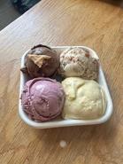 Toasted S'mores, Popcorn Brittle, Goose Tracks, Texas Sheet Cake Study