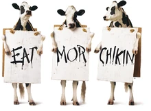 Chik-fil-A ad