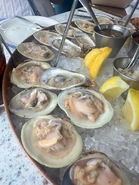 Littleneck Clams