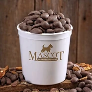 Mascot Chocolate Covered Pecans