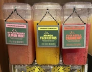 Panera Charged Lemonades