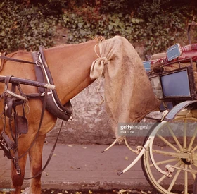 "Tomorrow on the Double... The Feedbag XXL...