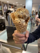 Salted Caramel Brownie / Chocolate Chip Cookie Dough