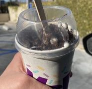 Oreo McFlurry