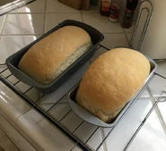 "And here are the loaves right out of the oven. 40 minutes at 350 degrees. You can see they had a nice light brown color on top when they came out"