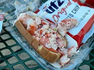 Lobster Roll