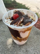 Turtle Sundae