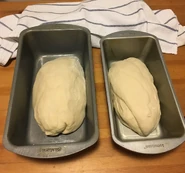 Bcwhitebread6.jpg (198 KB) dough in bread tins