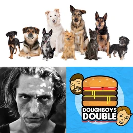 Dogvengersjared