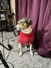Gemi Claus