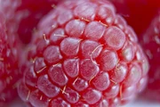 raspberry