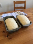 "It's then split and shaped into two loaves, and those loaves are placed in bread pans for the second rise - which only took about 45 minutes"