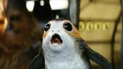 porg