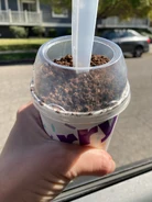 Oreo McFlurry