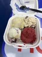 4 Scoop Sampler - Pomegranate Sorbet, Blueberry Cobbler, Banana Cream Pie, Buckeye