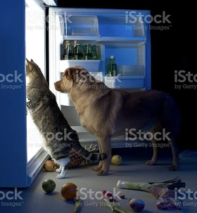 "Tomorrow on the Double..