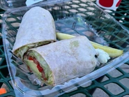 Vegetarian Wrap
