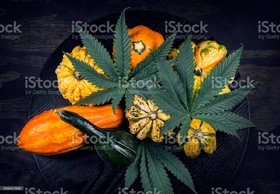 "Tomorrow on the Double..