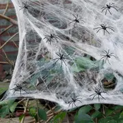 stretchy spider webs