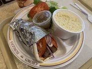 Gyro Plate