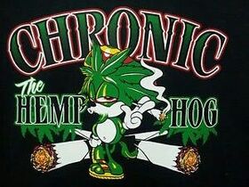 "Tomorrow... A very special 4/20 Doughboys...