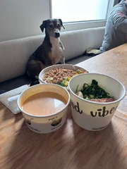 Gemi and Veggie Ramen