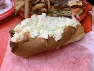 Slaw Dog