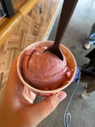 Saltstraw2pic7.jpg (619 KB) Wild-Foraged Berry Slab Pie (Scoop)