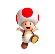 Toad