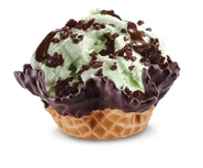 Mint Mint Chocolate Chip