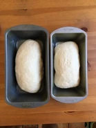 "It's then split and shaped into two loaves, and those loaves are placed in bread pans for the second rise - which only took about 45 minutes"