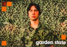 the star of Garden State, Zach Braff