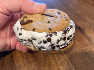 Sublime Ice Cream Sandwich