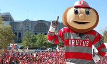 Brutus Buckeye