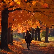 autumnal stroll (#3)